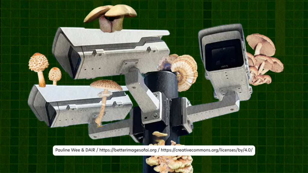 This image depicts clusters of various mushrooms growing on a network of surveillance cameras against a dark green textured background.
